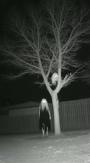 Something is hiding in the trees and it's watching you 💀 #horror #shorts #horrorshorts