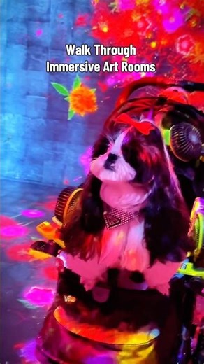 Inside SUPERBLUE Miami Immersive Art Experience | Miami Things to Do | Nirvana the Shih Tzu