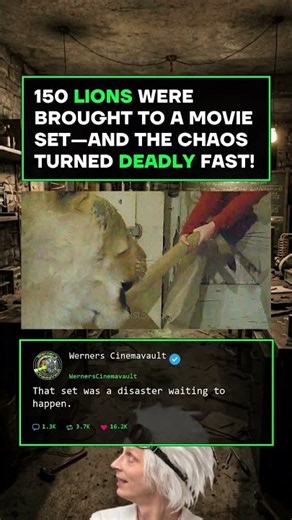 The Wild Chaos That Terrified a Hollywood Star!