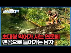 뛰어난 감각과 강력한 힘을 가진 악어의 모든 것｜2억년을 살아온 영리한 악어의 비결｜EBS명작 악어다큐｜자연 다큐멘터리｜#골라듄다큐