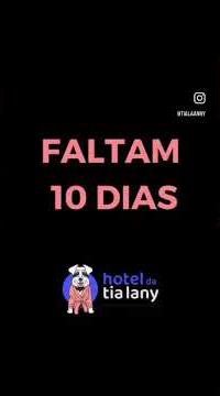 Arquivo Cãofidencial - Bella e Bartô