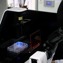 Efficient Electroporation for GCPs - JoVE Journal