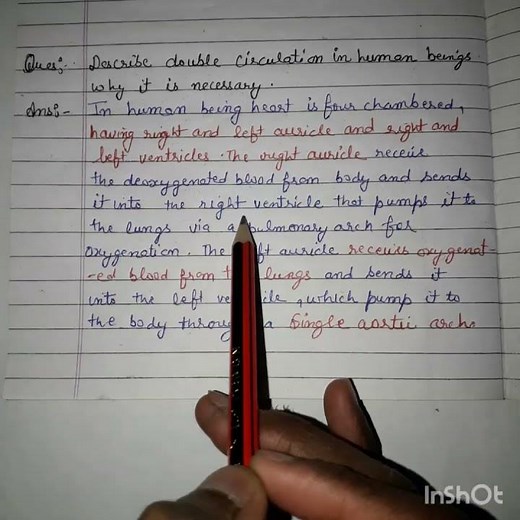 Class 10th science, Double circulation in human being ‪@studyfacts4693‬