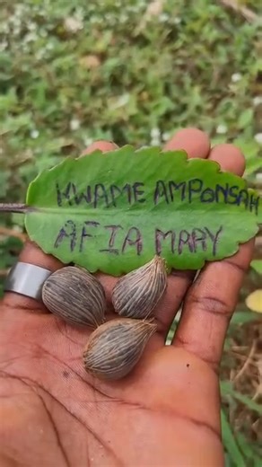 If you need your ex girlfriend back call me 0538219356 | Nana Owusu Boadi