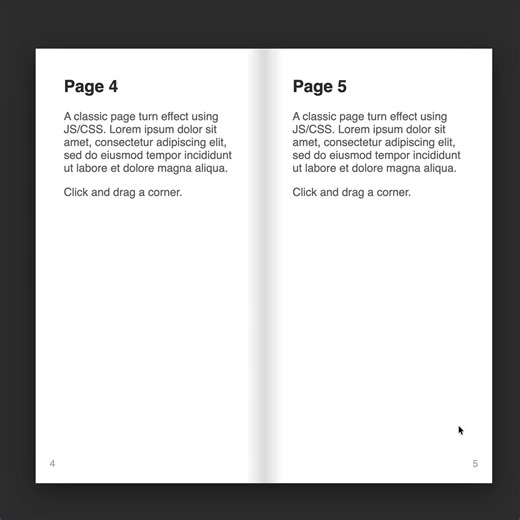 "Page flip!" by Liam Egan https://codepen.io/shubniggurath/pen/jEMNobq