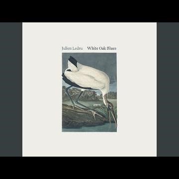 The Death of the Wood Ibis