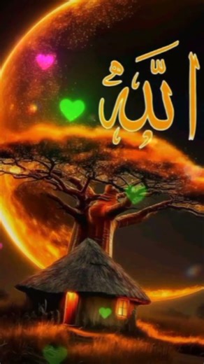 Allah Hu Allah Hu #allahhuallah #islamicshorts #love #share #viral ❤️🤲☝️❤️