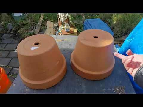 Cheap bottomless terracotta pots for planting or growing sensitive plants.