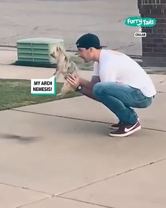 When your dog is all bark and no bite 🐶😹 | Furry Tails