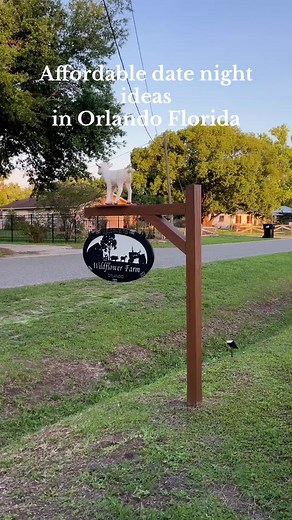 Affordable Date Night Ideas in Orlando with Baby Goats