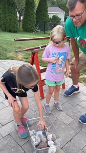 22K views · 776 reactions | Team effort cracking this Mexican geode for #geodejuly #geodecracking #trancasgeode | RockHunter Mark | Facebook