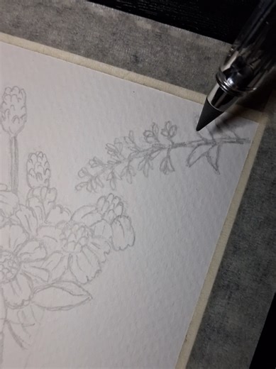 #art #sketch #วาดเหมือนเเมวข่วน #drawing #วาดรูป