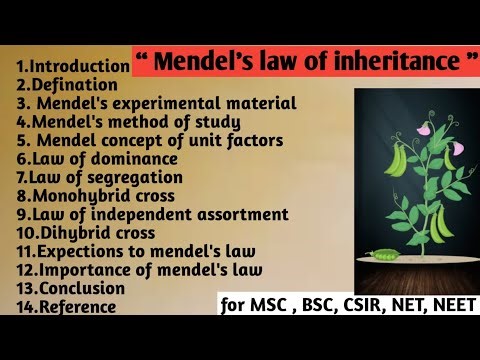 Mendal's law of inheritance | Method of study | Concept | Monohybrid dihybrid cross | Importance