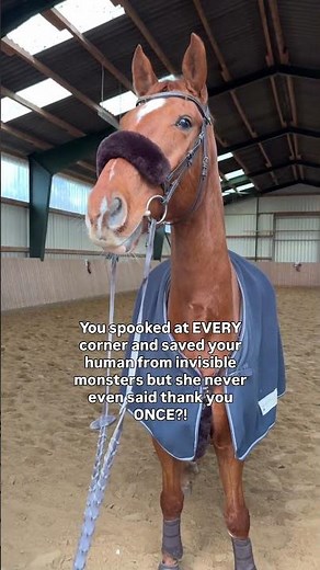 Ist euer Pferd auch so an kalten Tagen? 🐴🙄