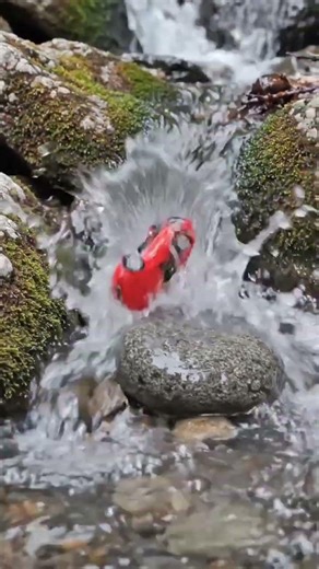 car fall into water