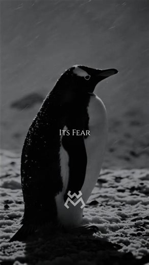 Stop Hiding in the Crowd | Lone Penguin Mentality