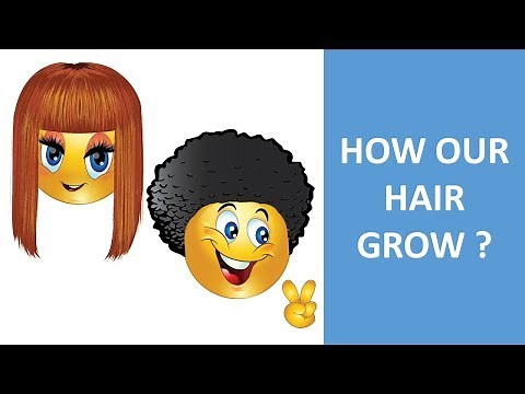 HAIR ANATOMY || PHASES IN HAIR GROWTH || STRUCTURE OF THE HAIR || SCIENCE VIDEO FOR CHILDREN