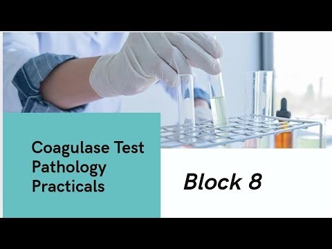 Coagulase Test • Pathology practicals• Block 08