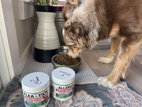 Click for what we wish we had knownFlea and Tick Prevention for Dogs Chewables - 170 Treats - Natura