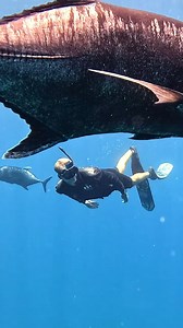 Our latest adventure took us to a remote island in the Indian Ocean, where we found giant robber crabs, explored epic caves, swam with dolphins, and even found an octopus! This place is a true paradise and reminds us of a real-life Jurassic Park. Catch the full adventure in our latest episode! 🍿📺 | Strick & Fran