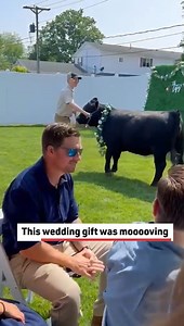 This cow made for an unforgettable wedding! #cows #animals #wedding | Reader's Digest