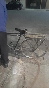 Mas de 60 años adoptando michis . Este señor es la razon por la que cerramos hasta las 10, siempre que vamos a cerrar mas temprano pensamos que "El de las Wiskas" (asi le decimos ) va a llegar a su casa sin la cena de sus michis si le cerramos temprano. Podra haber pandemia, se podra estar callendo el mundo o pase lo que pase el señor no le falla a sus michis. | Croquetas Efe | Facebook