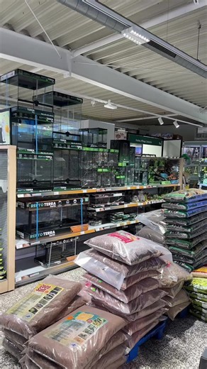 Creating the Perfect Reptile Terrarium Setup