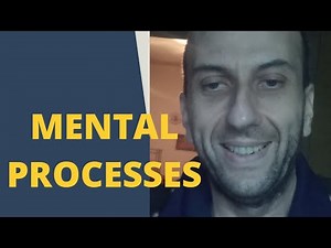 Mental processes in psychology: university lecture