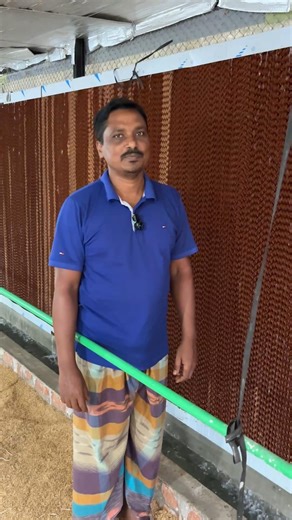 The cost of using AC in chicken farms is much less #farming #youtubeshorts #agriculture