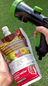Garden goals in one satisfying click. Our new Seasol Click & Grow® Starter Kit makes it easy to care for your plants while you water – stimulating strong roots, flowering, and long-term soil health. No mixing. No stress. Available now @bunnings | Seasol