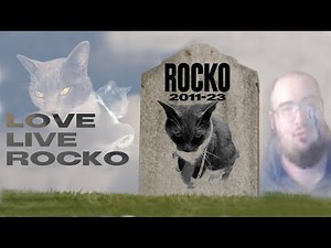 WingsOfRedemption Cat Died | RIP ROCKO (2011-2023)