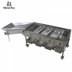 [Hot Item] High Quality Potato and Tomato Sorting Machine for Fruit Grading