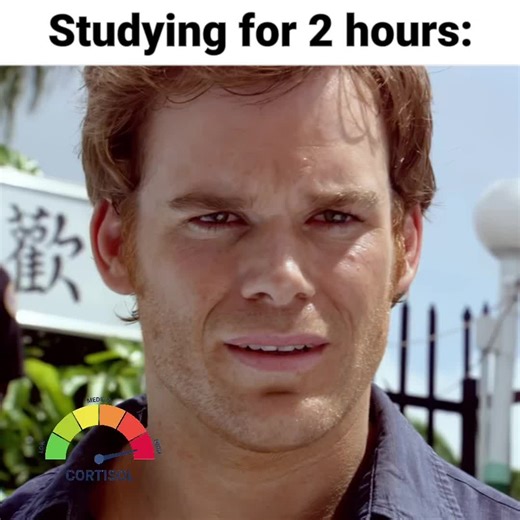 Sibling Study Sessions: A Bond Like No Other