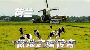 荷兰：低地之国的缤纷传奇，从围海造陆到全球影响