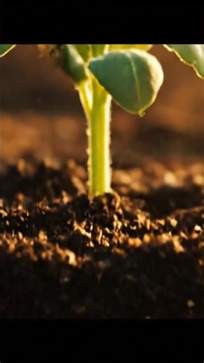 Nature grows faster than you think, You won't believe how this grows! Watch plant growth time-lapse