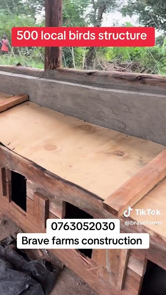 Exploring Local Birds in Poultry Farming