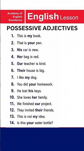 14 Short Commonly Used Examples for Possessive Adjectives | My, Your, His, Her, Our, Their