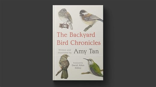 Amy Tan turns her literary gaze on the world of birds | WHYY