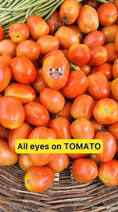 ALL EYES ON ' TOMATO ' 🍅🤣 #tomato #vegetables #price #middleclass #jio #recharge #rupees #bridge #dollar #momos #comedyreels #funnyreels #reelsfb #reelitfeelit | Thethar Puns