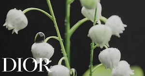 Dior Diorissimo 2024 ~ New Fragrances ~ Fragrantica