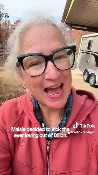 My two mares have an intense love-hate relationship. It’s codependence at its finest. Yesterday it got ugly. Unfortunately, because my pastures are hilly and horses can disappear out of sight of others. It’s not the best situation for splitting them into different groupings. Ideally, I could turn Dylan and little man out together half the day and Maisie and little Mann out the other half of the day. But Maisie will go through fences if they get out of her sight. I have never had this situation b