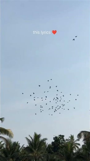 This lyrics ❤️/status/lofi/slowed reverb/#shorts #lofi #status #love #fypシ #girlvoice #trending