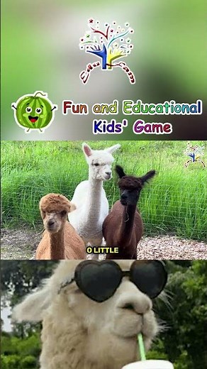 The Animal Song | Llama | The Animal | Llama Song | Edufam Nursery Rhyme & Kids song ~