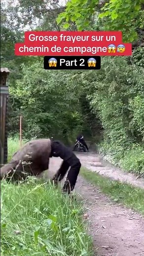 Big scare on country road #fyp #prank #scary