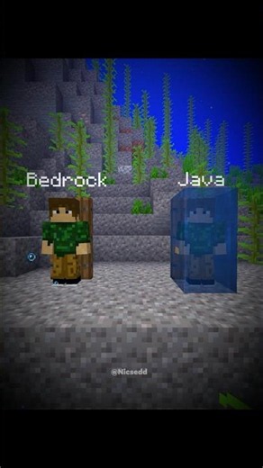 Minecraft Java vs Bedrock...🤯