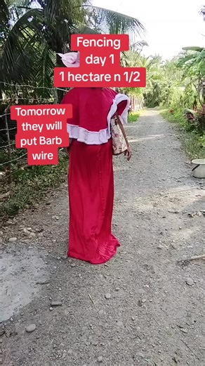 My 600 sq.meters land already done yesterday, Today is another land that I need to fence as well.Bigger and lots of coconuts.In few days someone will buy coconuts fruits to me as used as copras ( oil) #fyppppppppppppppppppppppp #pakpinaycouple🇵🇰💕🇵🇭 #exDubaiOFW #followers➕ #Babe