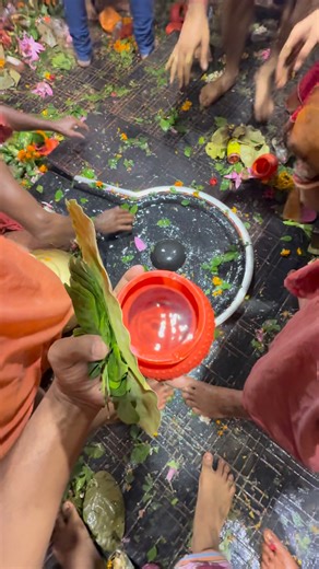 Anita Sonkar ji ka sab manokamana purn kare har har mahadev jai baba Baidyanath 🙏🏻📿 | BABA DHAM