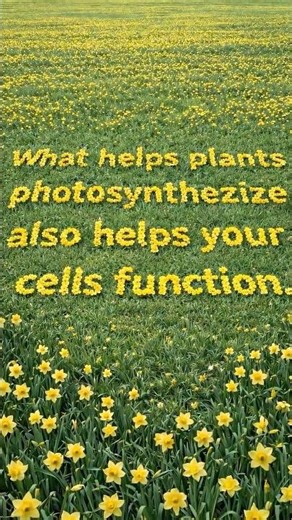 You Need Magnesium #Magnesium #MagnesiumBenefits #ScienceFacts #Flowers #madewithAI