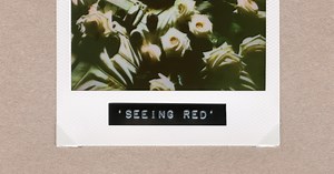 Architects - Seeing Red