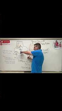 Statics: Lesson 34 - The Secret to Tipping Problems!